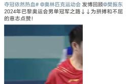 华体会登录-葡萄牙队碾压德国队，樊振东点燃赛场